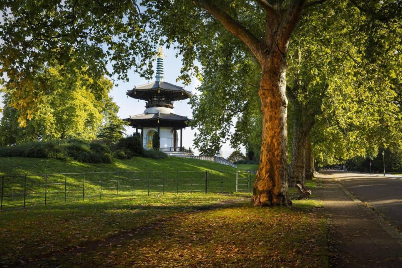 Fast Wifi Desk Netflix 13min To Battersea Park Wd * Londra